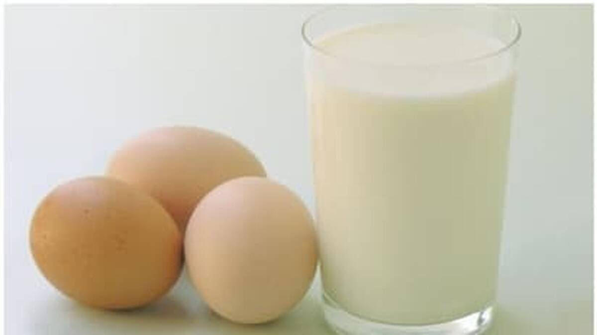 egg