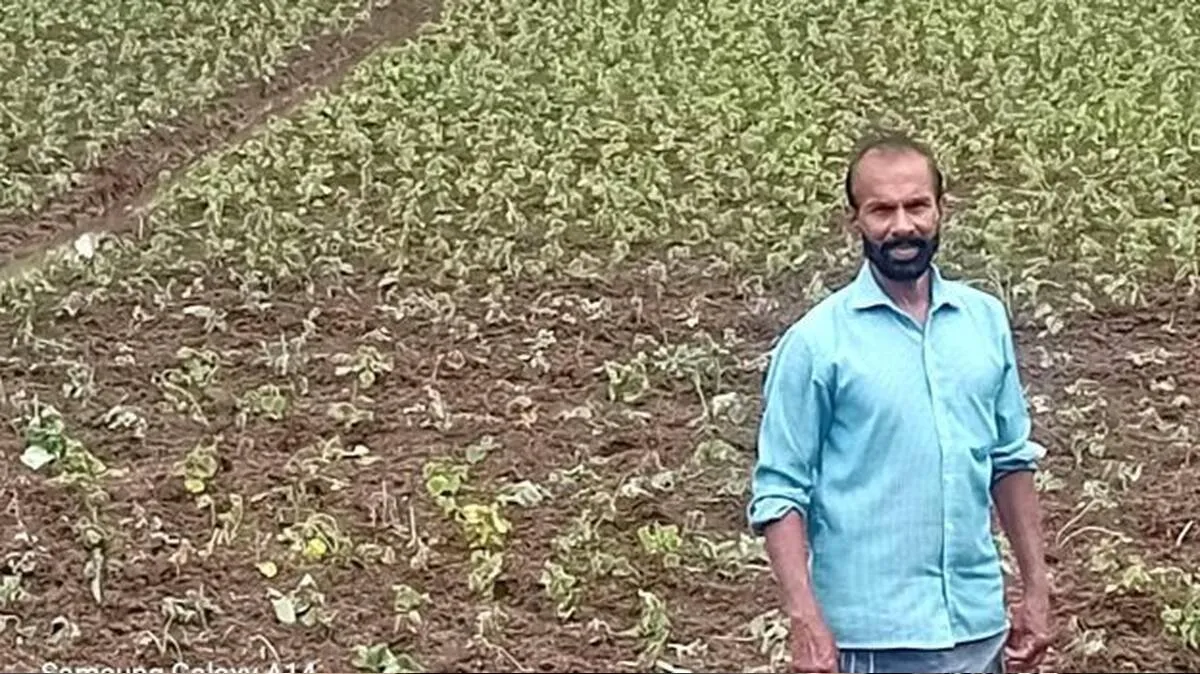 swaminathan