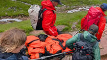 labrador-dog-rescued-from-ben-nevis-after-cannabis-poisoning