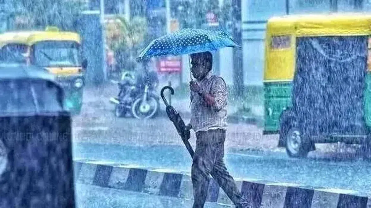 rain