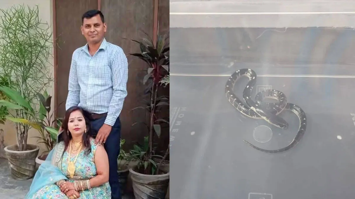 atul-pawar-and-damini