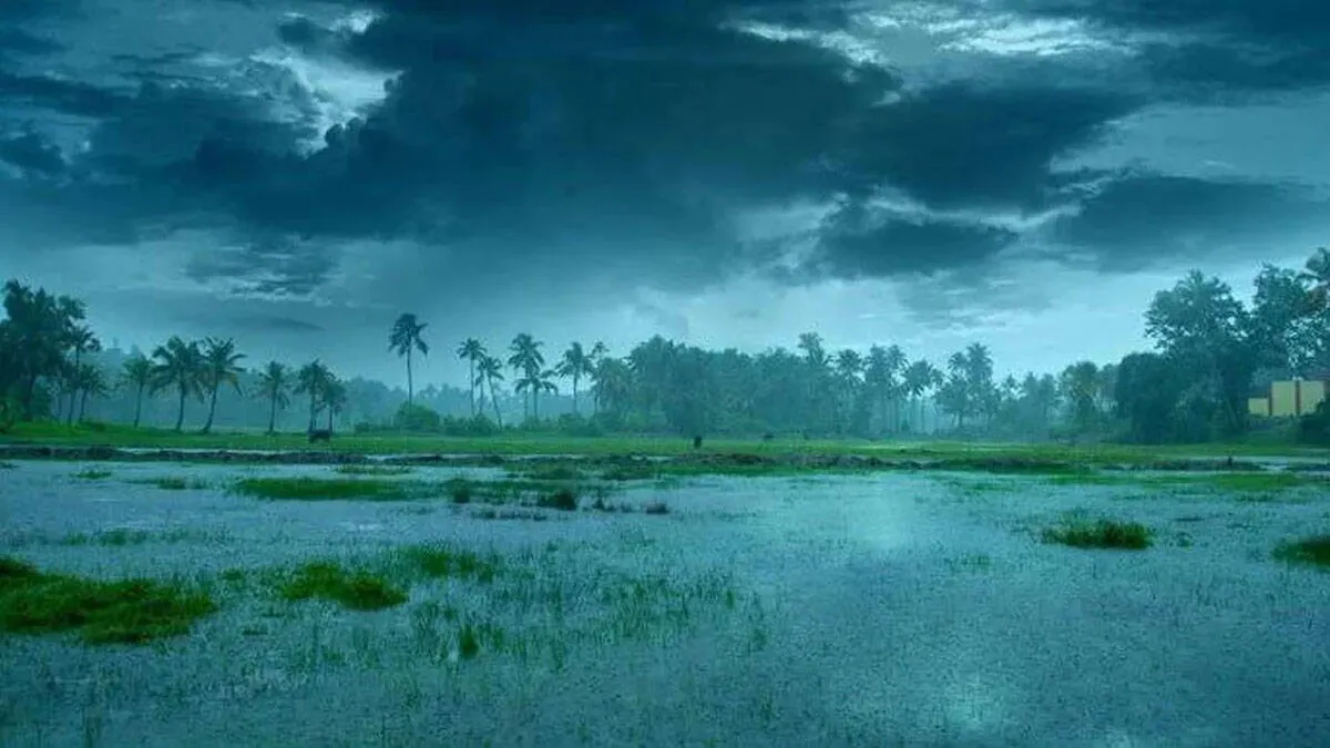 weather-