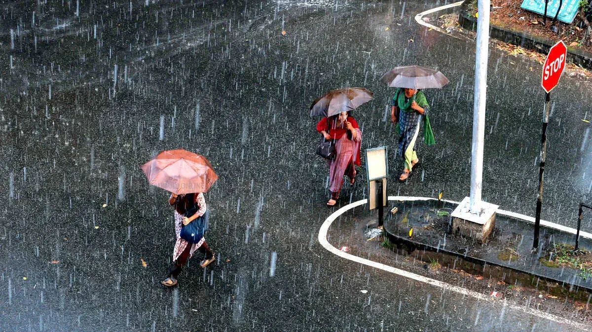 rain