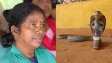 cobra-rescue-in-thiruvananthapuram