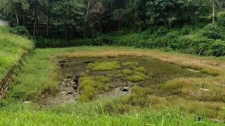 chenkulam.1785000641