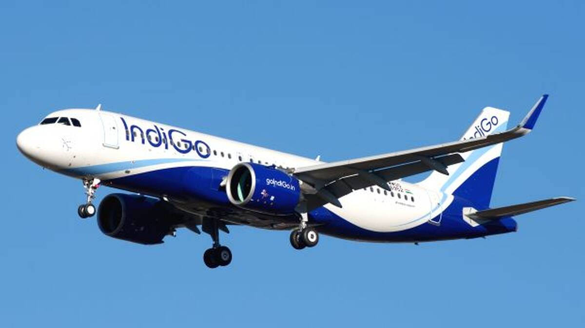 indigo