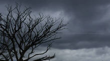 heavy-rain-alert-for-nexy-five-days-in-kerala