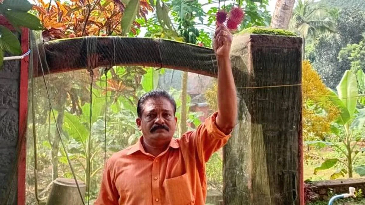 sudeesh-