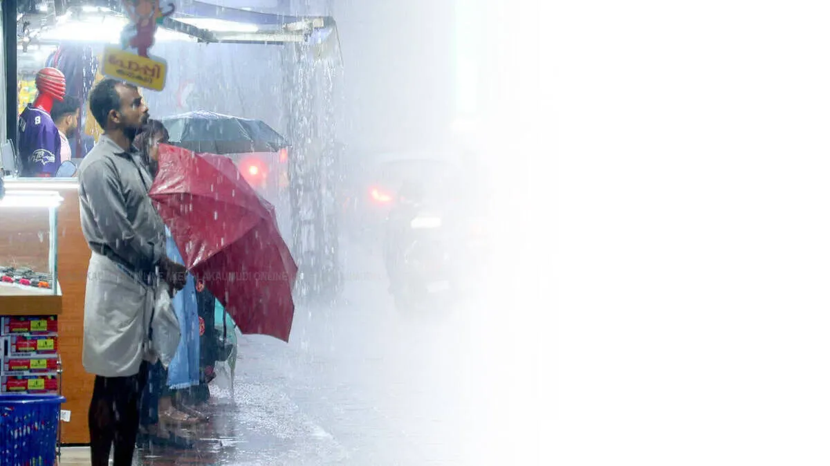 rain