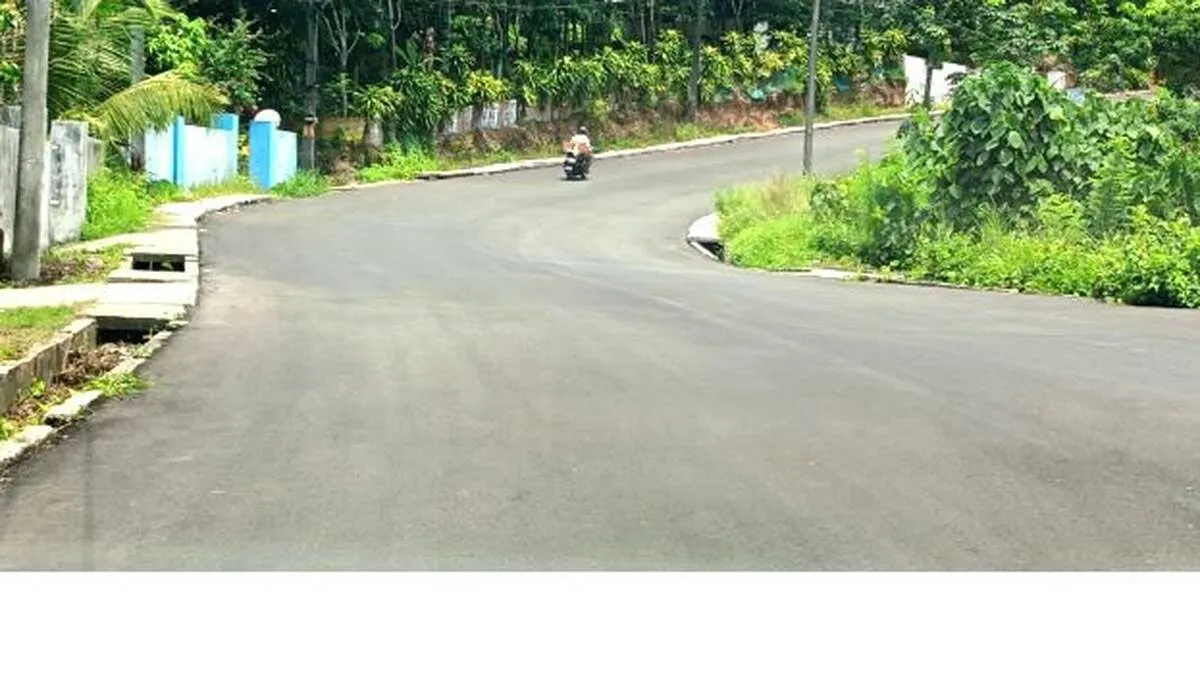 photo-1