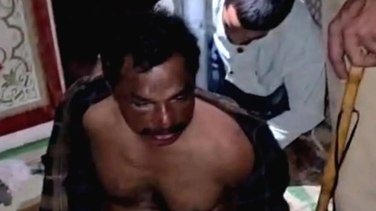 anil anil