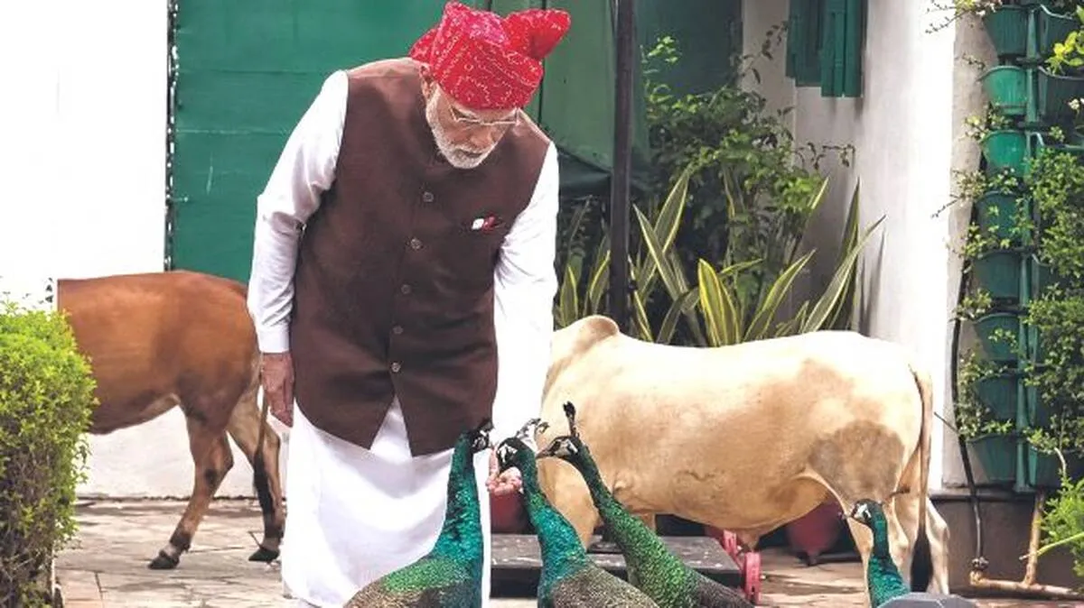 modi