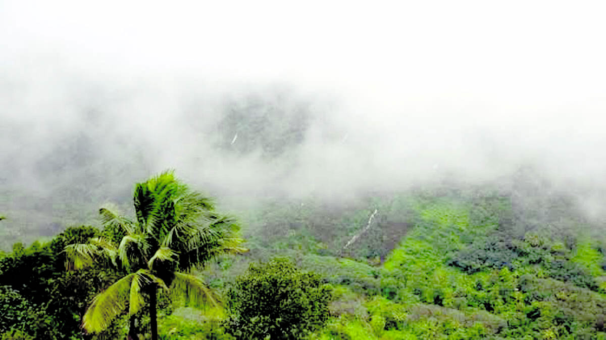 vanam