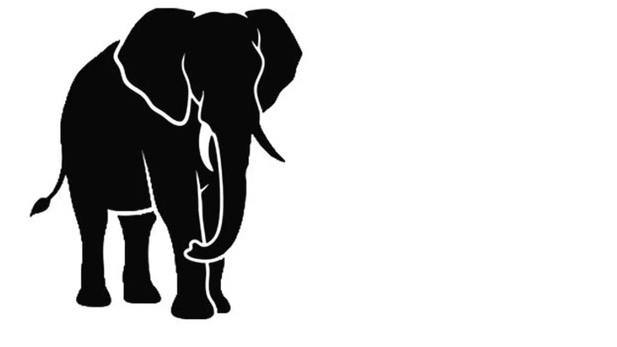 elephant elephant