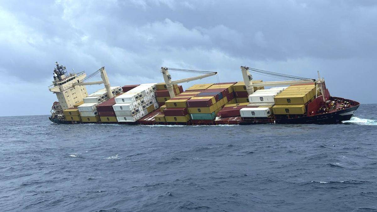 msc-elsa-