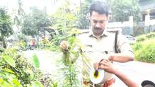 kerala