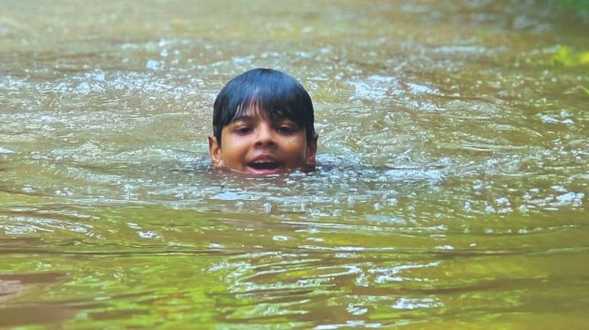 swim