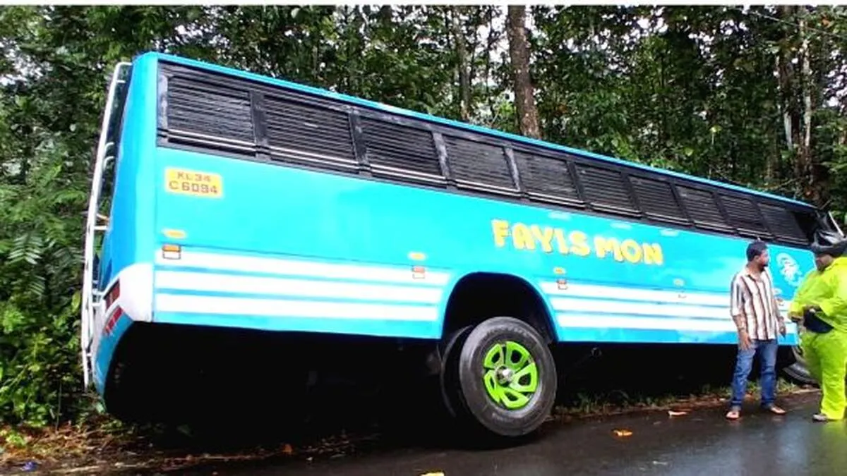 bus bus