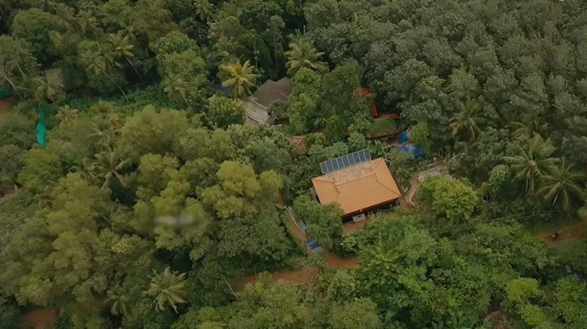 പാറക്കെട്ടിൽ വിരിഞ്ഞ പച്ചപ്പ്, പരിസ്ഥിതി സംരക്ഷണത്തിന് പുതിയ മാതൃക തീർക്കുകയാണ് ഹരി