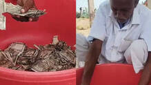 farmer-buried-five-lakh-rupees