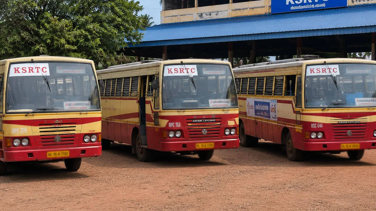 bus