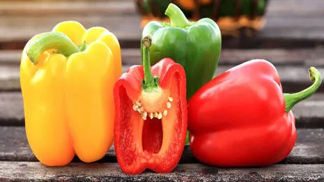capsicum.1.3982126