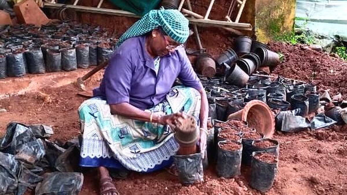 malabuzha