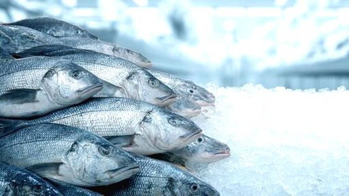 stall