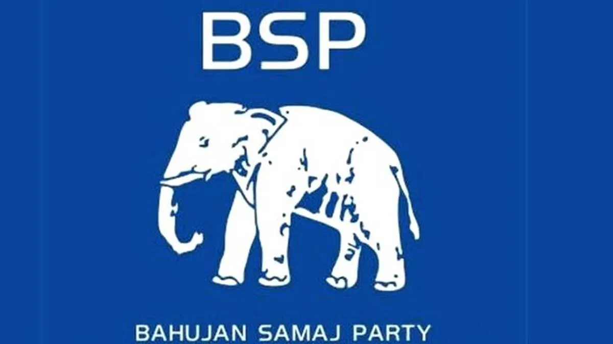 bsp bsp