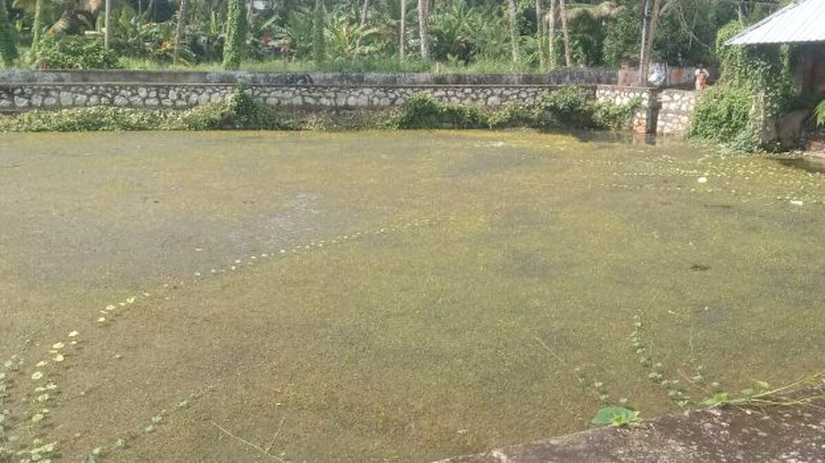 attakulam