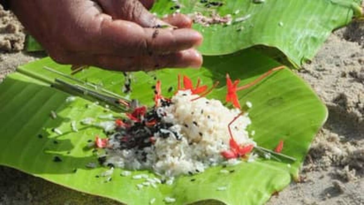 bali
