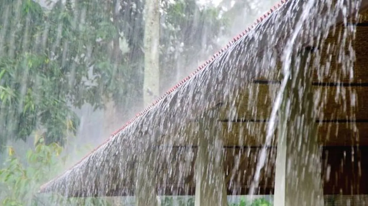 rain