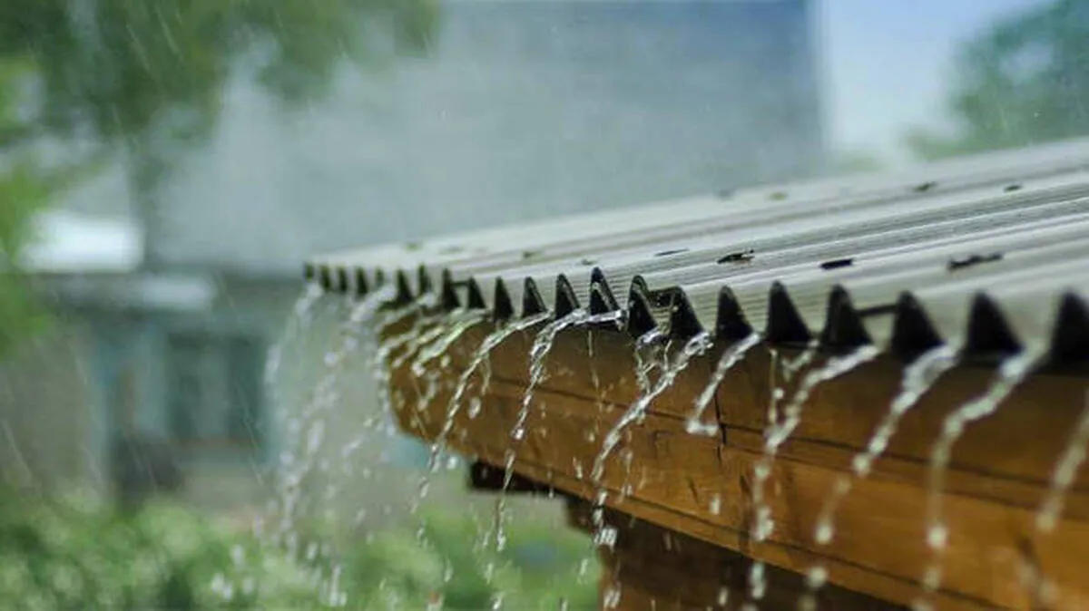 rains rains