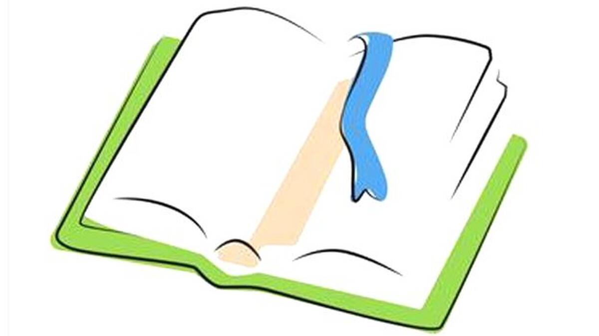 novel