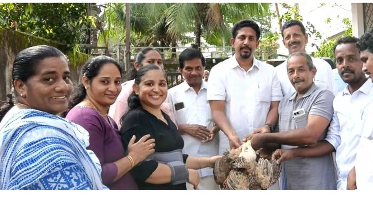 karimanoor