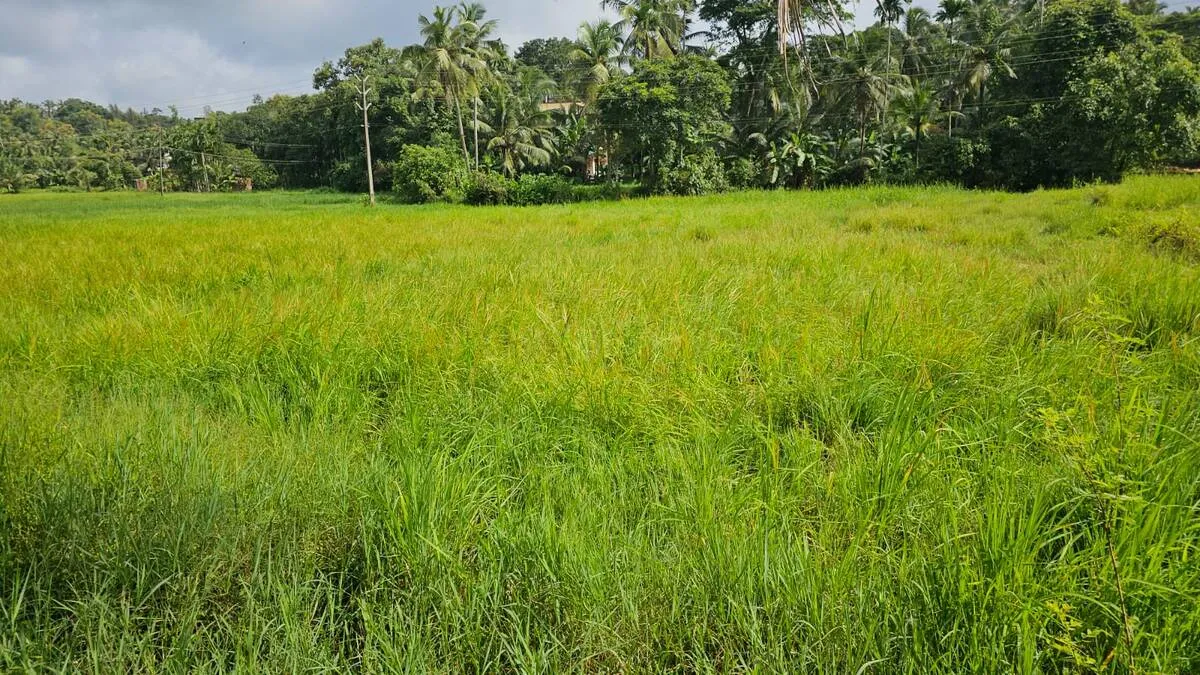 vari
