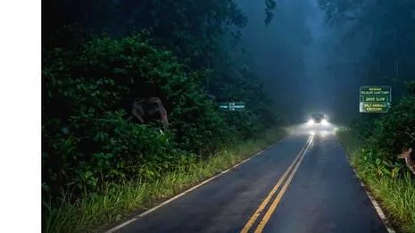 sby-plpy-road.1789063117