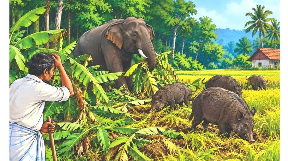 krishi