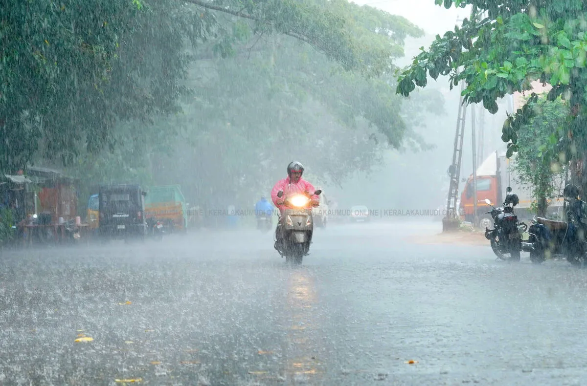 rain