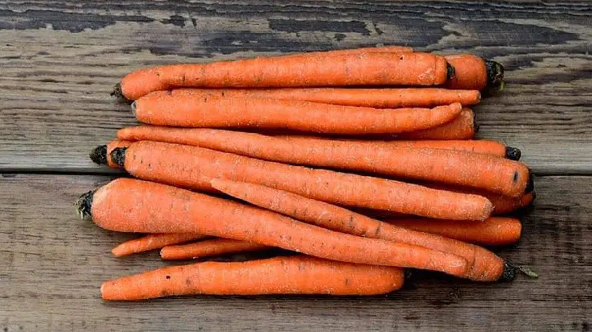 carrot