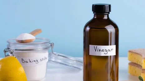 vinegar-baking-soda.1.4024090