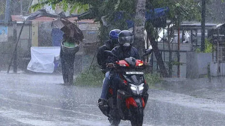 rain.1.4030003
