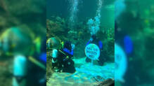 underwater-marriage-proposal-sharks-girlfriend-surprise
