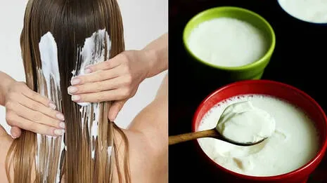 curd-grey-hair-remedy.1.4036274