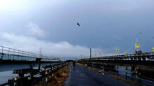 rain-