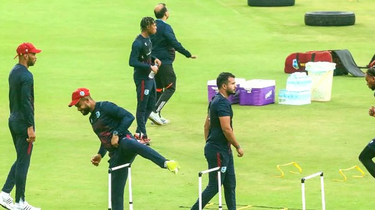 cricket