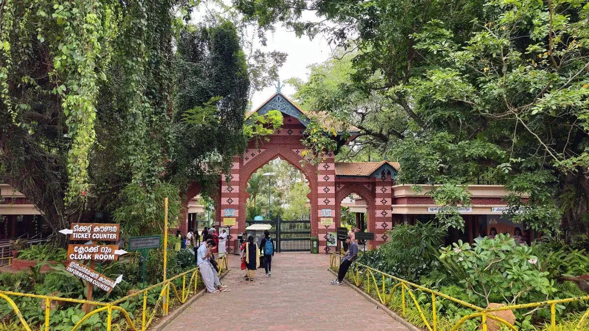 'മൃഗശാല മാറ്റാം, പക്ഷേ വനമേഖലയിലേക്ക് വേണ്ട; രോഗവ്യാപനവും പാരിസ്ഥിതിക ആഘാതവും ഉണ്ടാകാം'