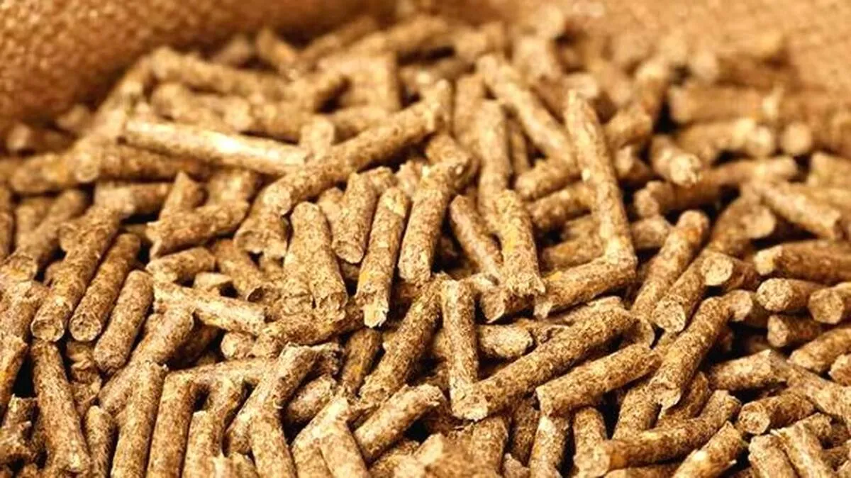 cattle-food