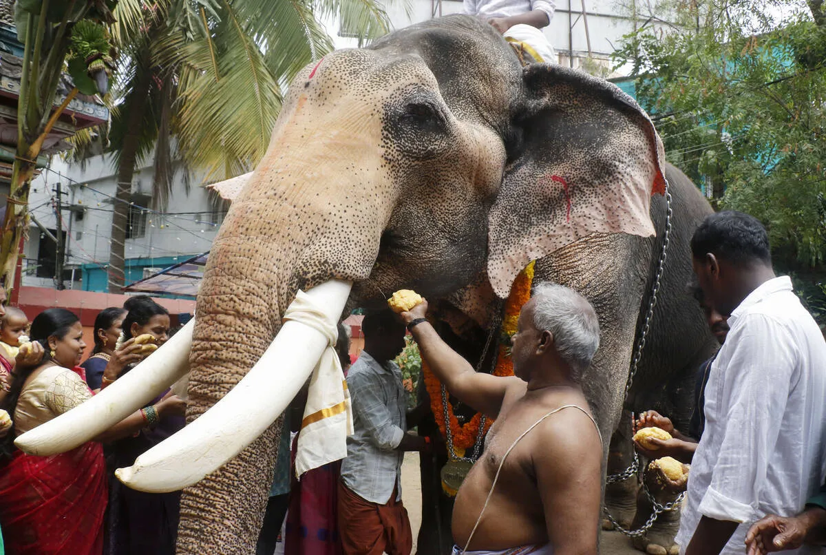 Kerala Kaumudi Photo Gallery