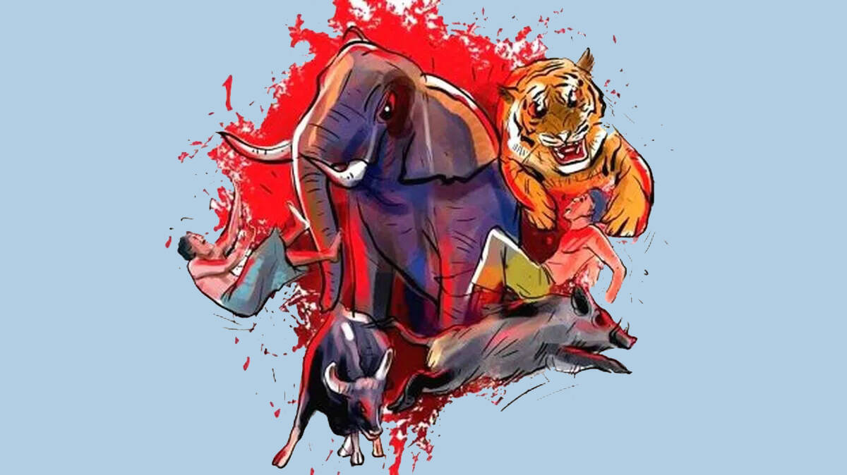 wildlife